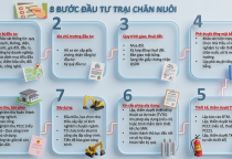 Khi đầu tư xây dựng trại chăn nuôi, 8 bước chủ đầu tư cần lưu ý