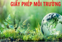 ĐTM và GIẤY PHÉP MÔI TRƯỜNG 2025