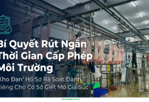 Lập hồ sơ xin Giấy phép môi trường (GPMT)