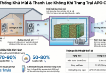 Chăn Nuôi "Không Mùi" Và Bài Toán Làm Giàu: 5 Bước Ngoặt Từ Công Nghệ Đệm Lót Sinh Học và Hệ ThốngLọc Khử Mùi