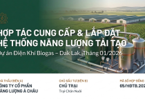 Cho Thuê Máy Phát Điện Biogas